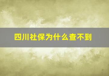 四川社保为什么查不到