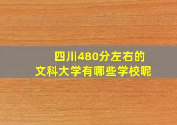 四川480分左右的文科大学有哪些学校呢