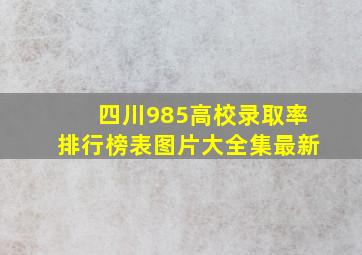 四川985高校录取率排行榜表图片大全集最新