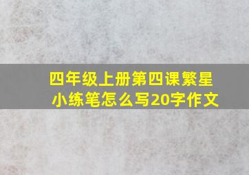 四年级上册第四课繁星小练笔怎么写20字作文