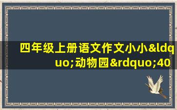 四年级上册语文作文小小“动物园”400字