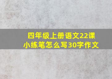 四年级上册语文22课小练笔怎么写30字作文