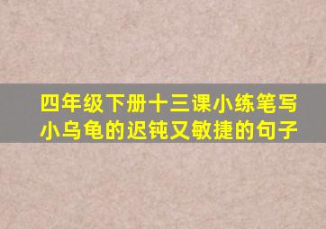 四年级下册十三课小练笔写小乌龟的迟钝又敏捷的句子