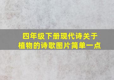 四年级下册现代诗关于植物的诗歌图片简单一点