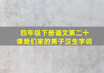 四年级下册语文第二十课我们家的男子汉生字词