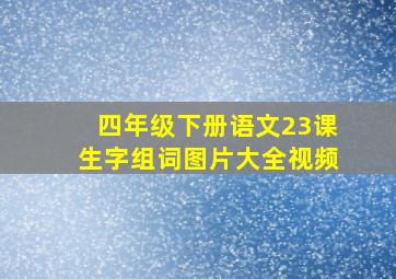 四年级下册语文23课生字组词图片大全视频