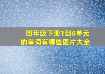 四年级下册1到6单元的单词有哪些图片大全