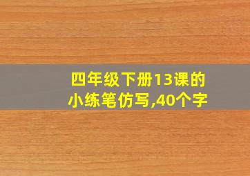 四年级下册13课的小练笔仿写,40个字