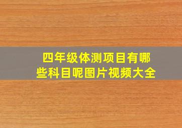 四年级体测项目有哪些科目呢图片视频大全