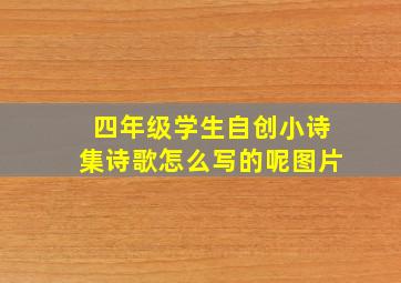 四年级学生自创小诗集诗歌怎么写的呢图片