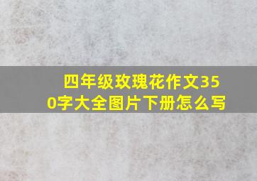 四年级玫瑰花作文350字大全图片下册怎么写