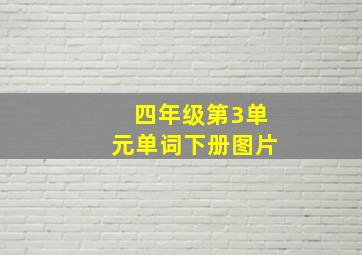 四年级第3单元单词下册图片