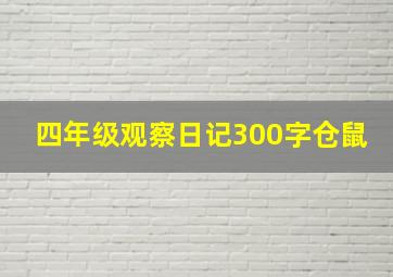 四年级观察日记300字仓鼠