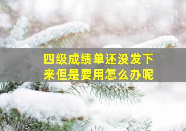 四级成绩单还没发下来但是要用怎么办呢