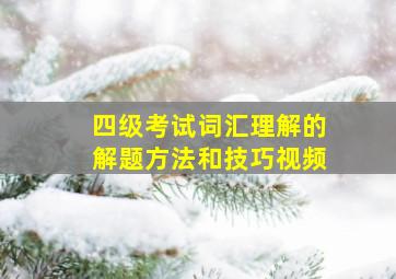 四级考试词汇理解的解题方法和技巧视频