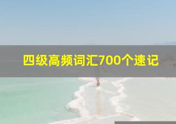 四级高频词汇700个速记