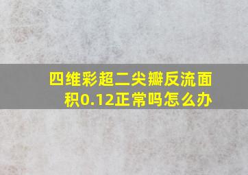 四维彩超二尖瓣反流面积0.12正常吗怎么办