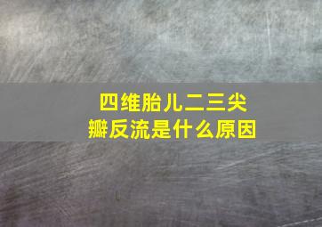 四维胎儿二三尖瓣反流是什么原因