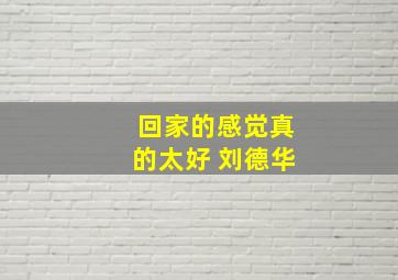 回家的感觉真的太好 刘德华