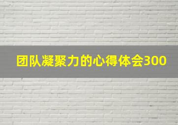 团队凝聚力的心得体会300