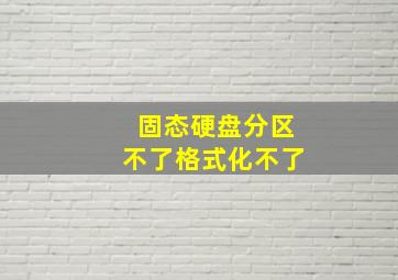 固态硬盘分区不了格式化不了