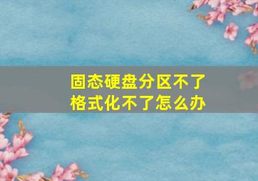 固态硬盘分区不了格式化不了怎么办