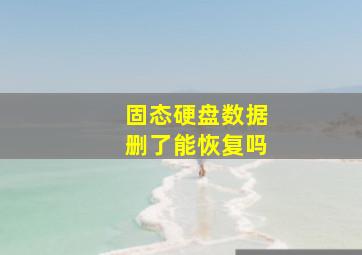 固态硬盘数据删了能恢复吗