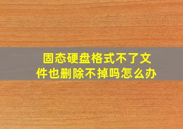 固态硬盘格式不了文件也删除不掉吗怎么办