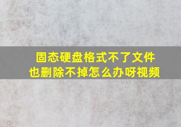 固态硬盘格式不了文件也删除不掉怎么办呀视频