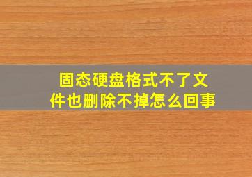 固态硬盘格式不了文件也删除不掉怎么回事