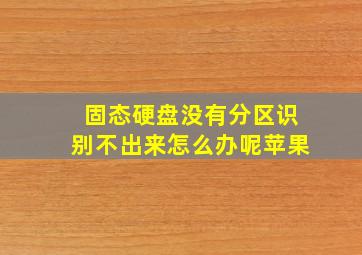 固态硬盘没有分区识别不出来怎么办呢苹果