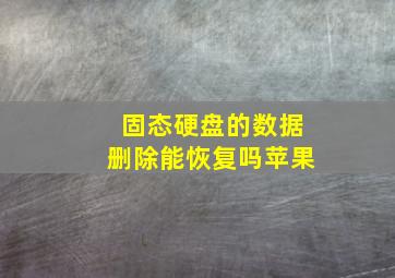 固态硬盘的数据删除能恢复吗苹果