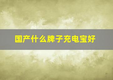 国产什么牌子充电宝好