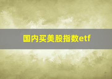 国内买美股指数etf