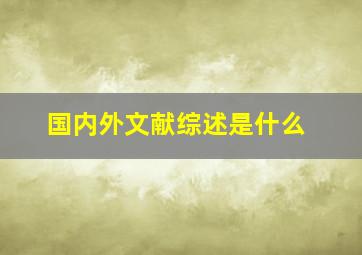 国内外文献综述是什么