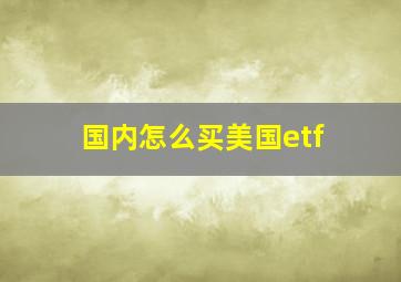 国内怎么买美国etf