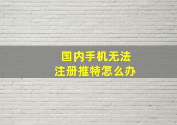 国内手机无法注册推特怎么办