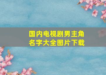 国内电视剧男主角名字大全图片下载