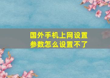 国外手机上网设置参数怎么设置不了