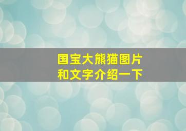 国宝大熊猫图片和文字介绍一下