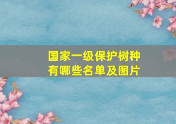 国家一级保护树种有哪些名单及图片