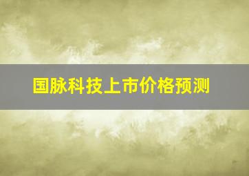 国脉科技上市价格预测