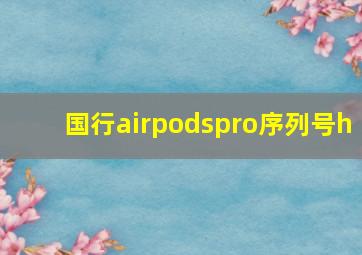 国行airpodspro序列号h