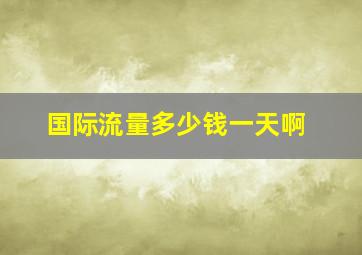 国际流量多少钱一天啊