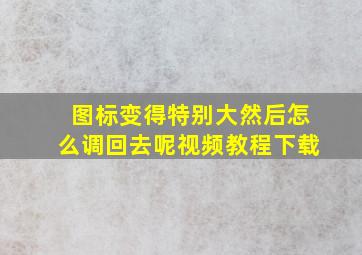 图标变得特别大然后怎么调回去呢视频教程下载