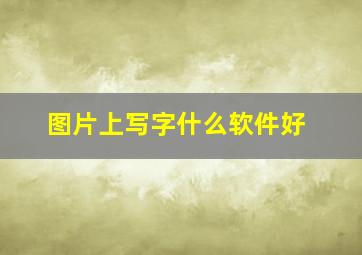 图片上写字什么软件好