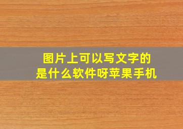 图片上可以写文字的是什么软件呀苹果手机