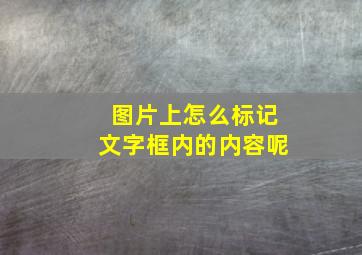 图片上怎么标记文字框内的内容呢