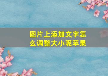 图片上添加文字怎么调整大小呢苹果