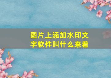 图片上添加水印文字软件叫什么来着